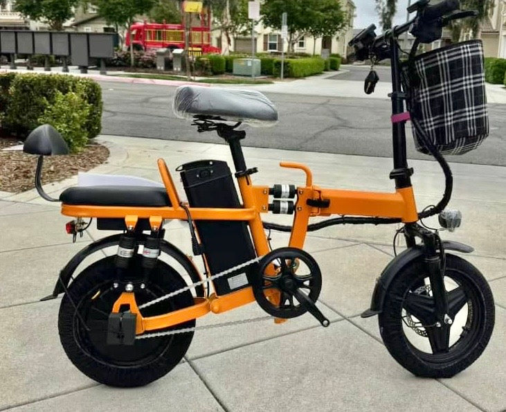 RLP Mini E-Bike