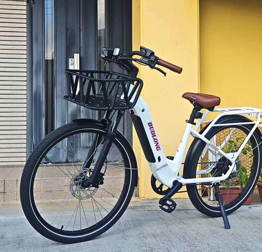Budlong Catalina Ebike