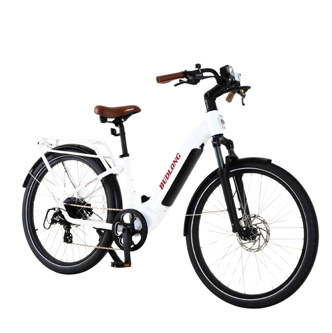 Budlong Catalina Ebike