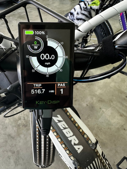 Lit Up Himiway Zebra Ebike Like New Fully Customized