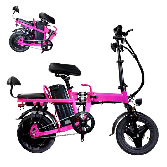E-Bike Rental: July 26, 2025