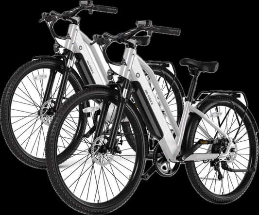 E-Bike Rental: July 26, 2025