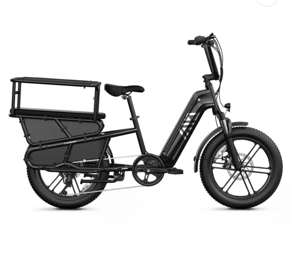TST CARGO EBIKE