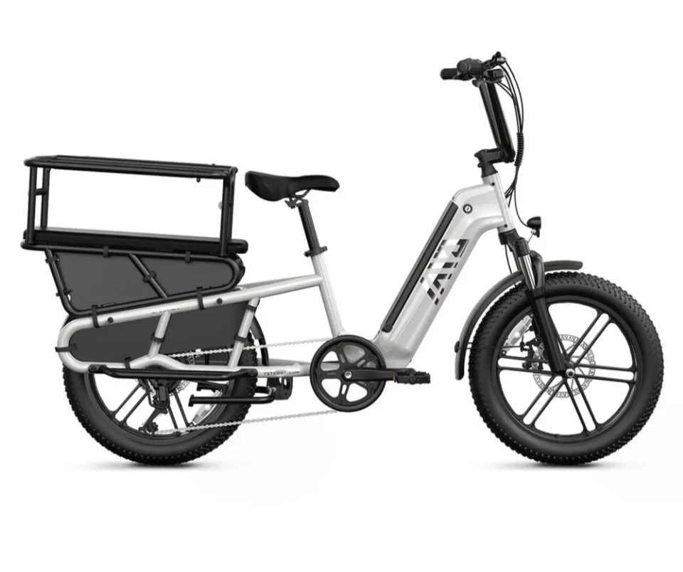 TST CARGO EBIKE