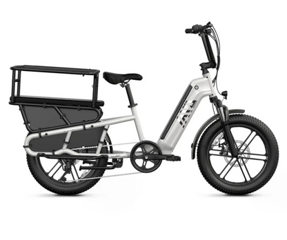 TST CARGO EBIKE