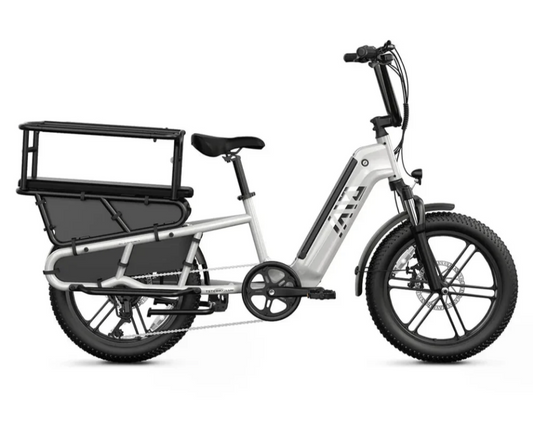 TST CARGO EBIKE