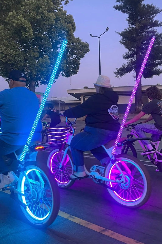 Bike Light Whip Kit